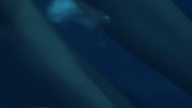 Флоатинг – сеанс сенсорной депривации в клинике Telo’s Beauty смотреть онлайн