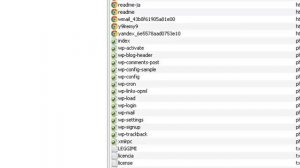 Как установить и настроить карту сайта и файл robots.txt для правильной индексации