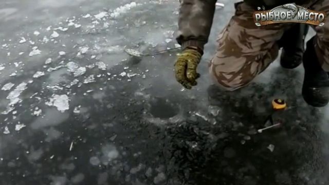 Как поймать карася зимой? Ловля карася в декабре. смотреть онлайн