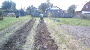 Копка картошки мотоблоком