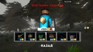 Я работал гавновозом