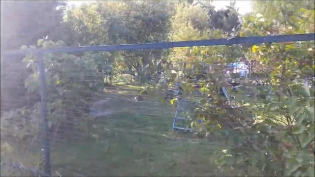 ????VLOG: обустройство дачи/экономим и тратим с умом/свое хозяйство.трудолюбие очень важно!