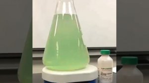 Добавление соляной кислоты в гидроксид магния с универсальным цветным индикатором