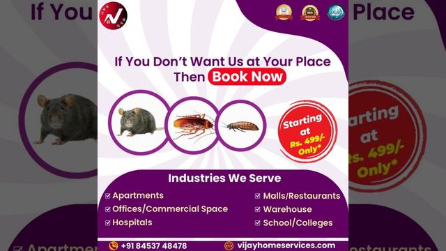 Cockroach Pest Control - 8453748478 - Bangalore - Hyderabad - Chennai - Pune смотреть онлайн