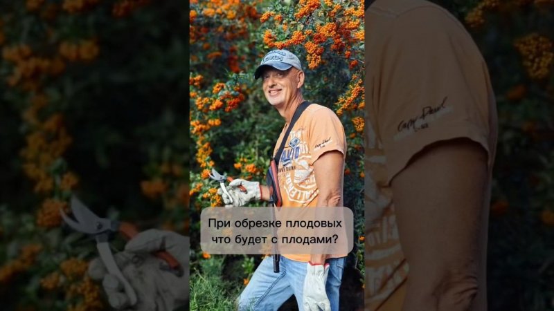 При обрезке плодовых что будет с плодами? #bonsai #бонсай #ниваки #андрейдарусенков #плодовыедеревья