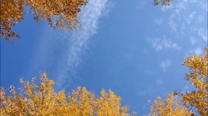 Солнышко на небе, ярко светит!