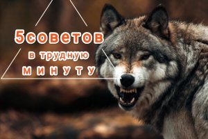 5 советов в трудную минуту