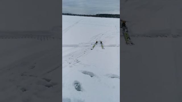 Зачем мне мотособака Белка.