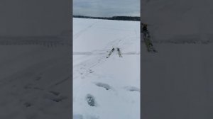 Зачем мне мотособака Белка.