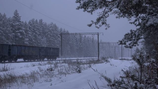 Поезда в снегопад на перегонах Воронежской области смотреть онлайн