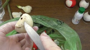 Спасение гиппеаструмов в восковом покрытии