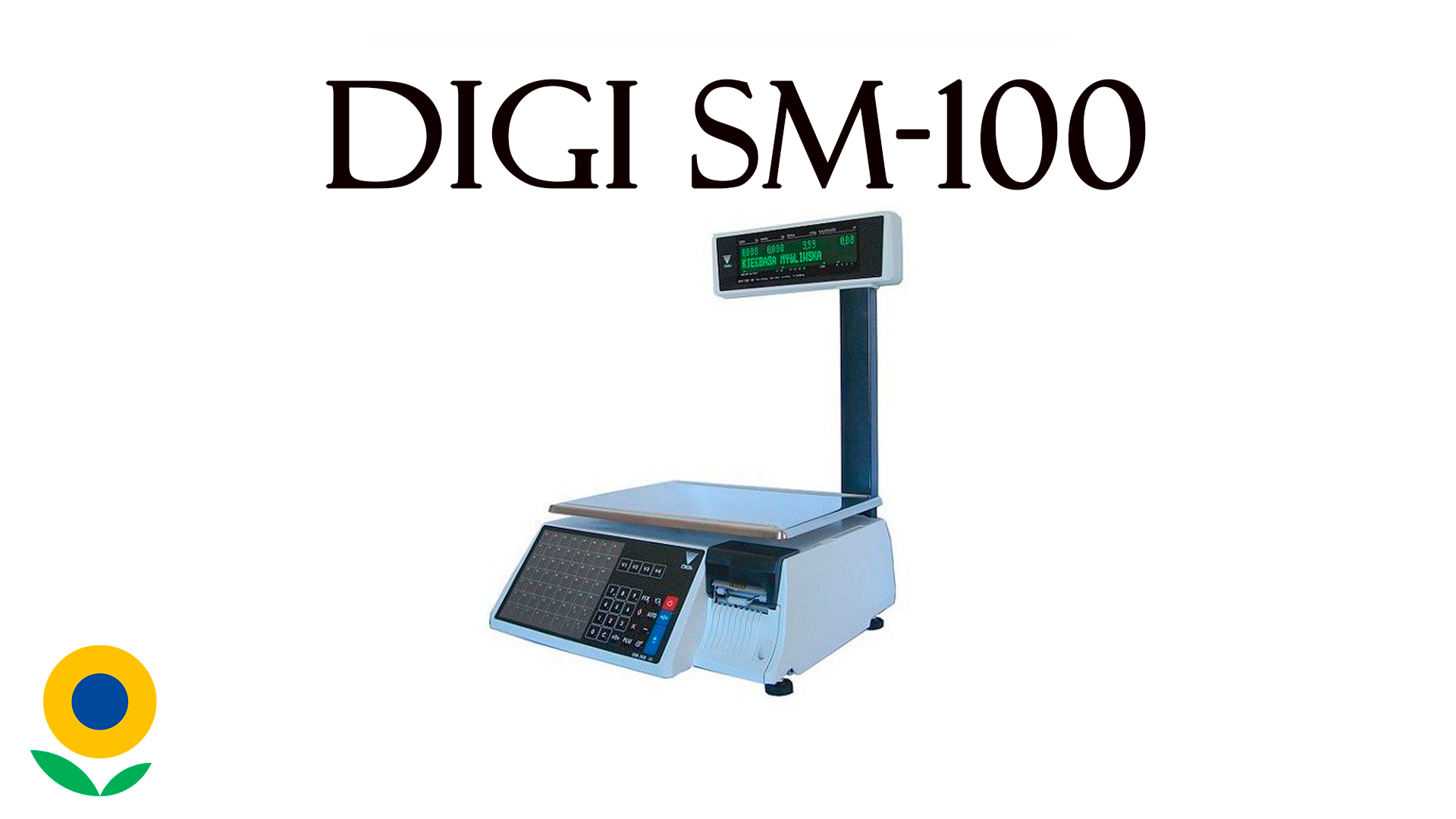 Digi sm 100 схема