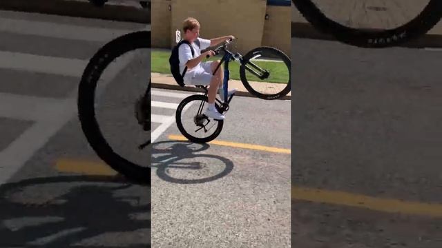 Clean mtb wheelie ?? giant talon смотреть онлайн