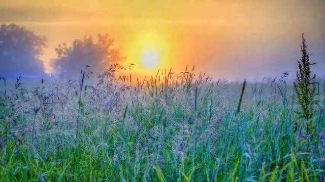 СОЛНЦА ЛУЧ,БЛЕСТИТ КАК АЛМАЗ! смотреть онлайн