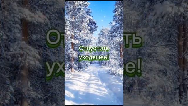 В последние дни уходящего года.......