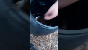 КАК НУЖНО #ПРАВИЛЬНО# И ВКУСНО СОЛИТЬ ЧЕБАКА?
