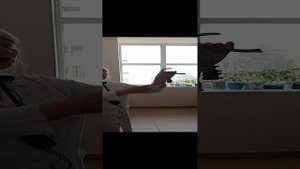 Тобольск. На фабрике косторезных изделий