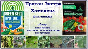 Протон Экстра и Хомоксил - обзор фунгицидов