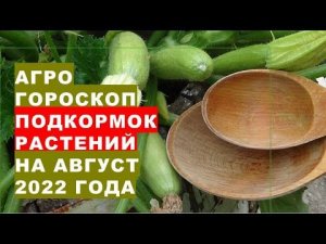 Агрогороскоп подкормок растений в августе 2022 года