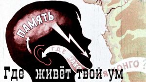 Где живёт твой ум.mp4