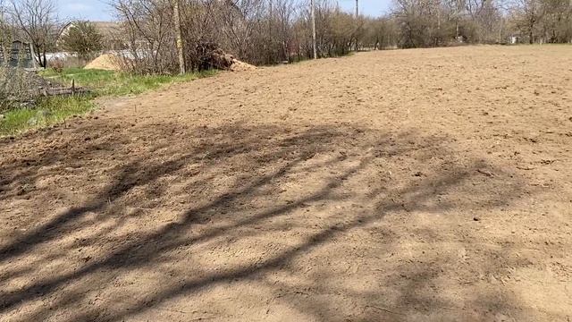 Закладка второго виноградника смотреть онлайн