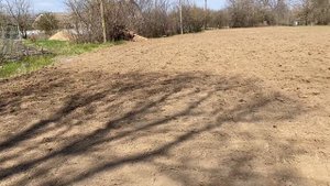 Закладка второго виноградника