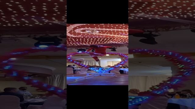 Партерное кольцо.Артисты на праздник