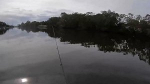 Hungry Bream Zone in the Paradise Part 2