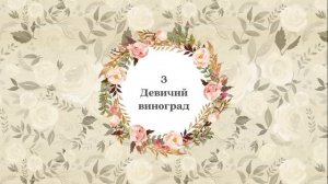 5 злостных агрессоров в саду! Топ 5!