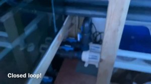 4000 Litre Saltwater Tank Mega Build | NEW CORALS - Part 12