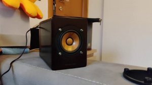 JVC SP-EXA3 Wood Cone - Test #2 (Minimal)