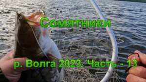Сомятники: р. Волга 2023. Часть - 13.
