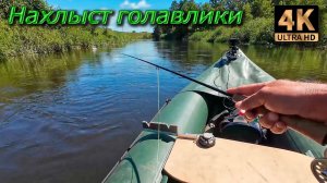 Нахлыст. Мелких отпускаю, а крупные сами уходят...