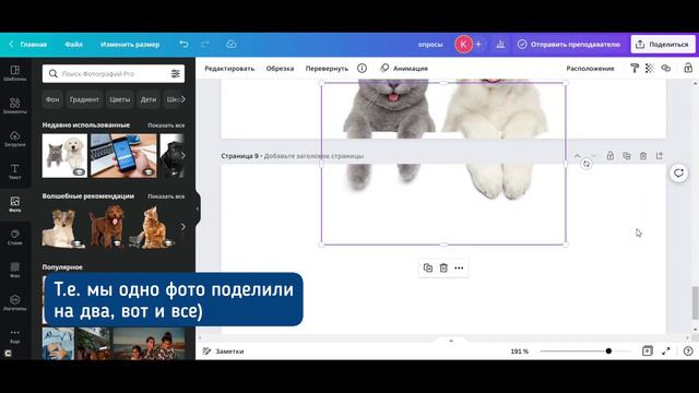 Как оригинально оформить опрос в во ВКонтакте?