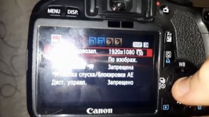 обзор canon EOS 550d