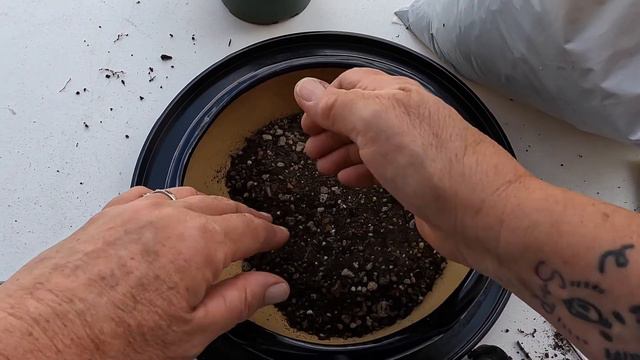 Repot an Agave With Me смотреть онлайн