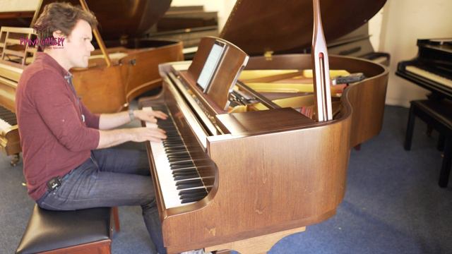 Steinbach Grand Piano for Sale