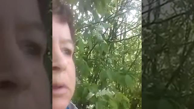 Песня "Ах черемуха белая" смотреть онлайн