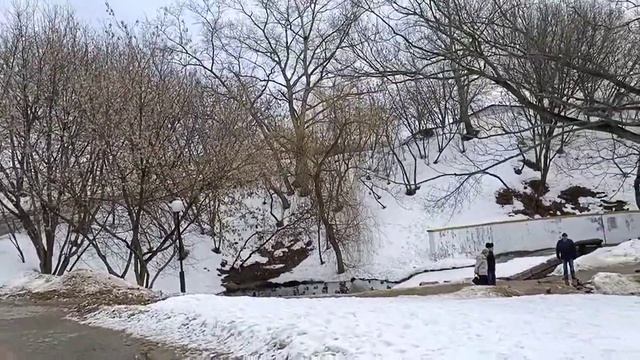 Утки, Огарь, Лихоборка, Гуляем по парку Отрада. Замечательный парк рядом с храмом. смотреть онлайн