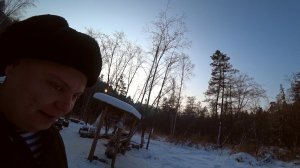 ТАЙГА, ЗИМОВЬЕ,  МОРОЗ. Не стало Були и снова убежал Пират.