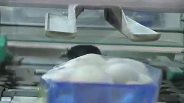 Elixa Mega Automatic stretch wrapping machine Грибы смотреть онлайн