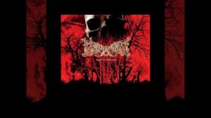 Saturnus - Forest Of Insomnia - Saturn in Ascension 2012
