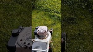 Стрижка газона на даче и использование скошенной травы