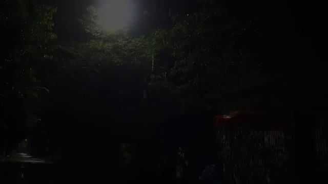 Звук Дождя в Палатке Без Грозы. Шум дождя без грома для сна, отдыха и релаксации