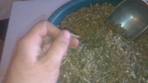 Рецепт 100% Полнорационного Комбикорма для Кроликов Лакто (Дорогой)! Recipe feed rabbits Lacto!