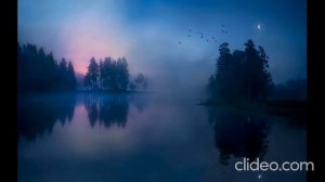 Константин Бальмонт  -  Камыши