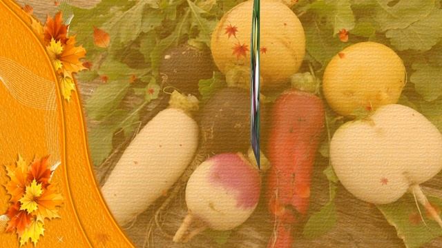 Польза и вред редьки смотреть онлайн