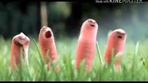 Самый смешной мультик про червей так что смотрите!