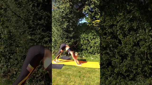 Сурья Намаскар вариация со скручиваниями смотреть онлайн