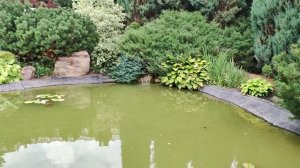 райский уголок Нижняя Волга